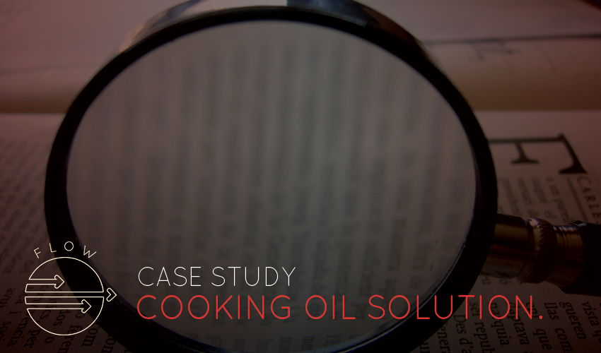 Flow Solutions Case Study